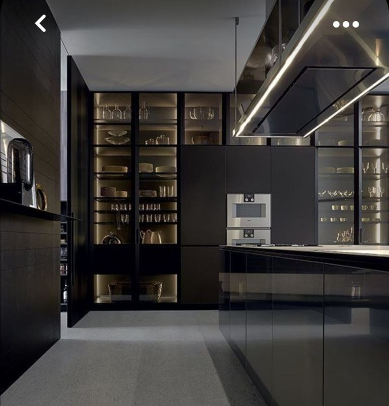 Cabinet de cuisine en PVC noir suspendu en verre avec couleur de placage personnalisée