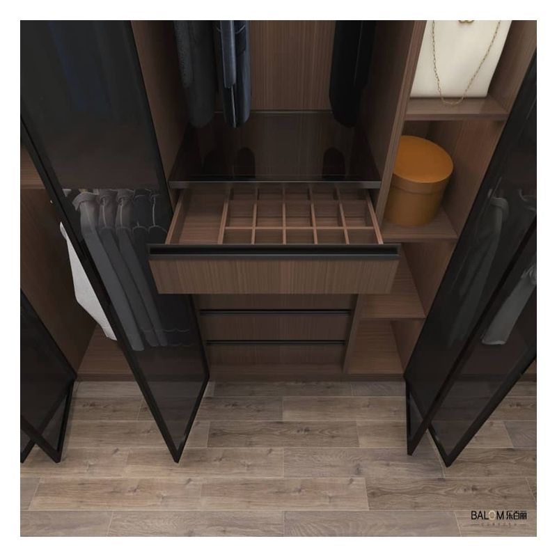Armoire minimaliste en bois avec panneau de porte en verre et bande lumineuse