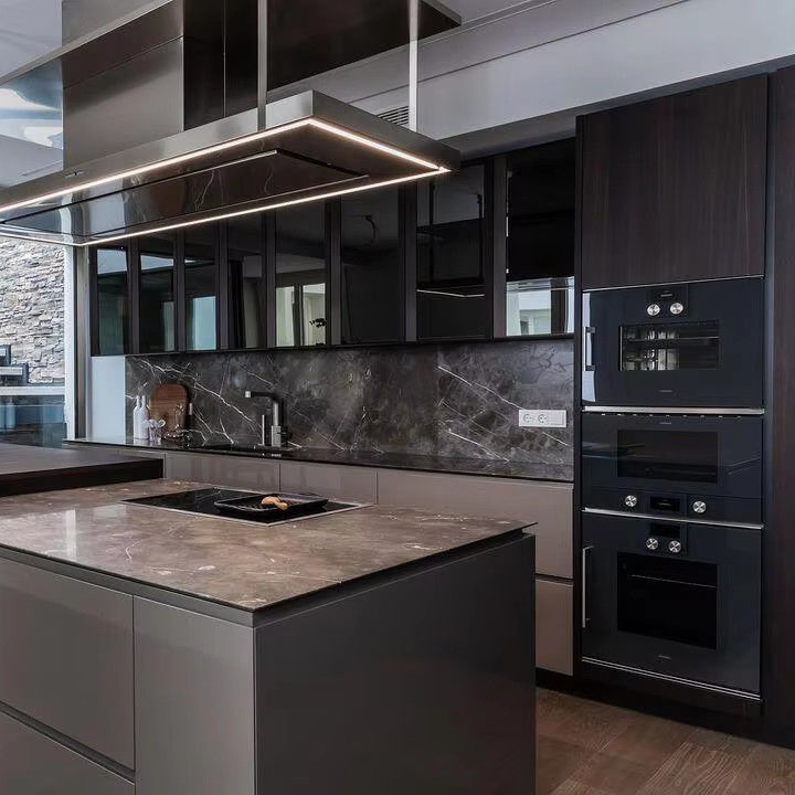 Armoires de cuisine personnalisées de couleur foncée de placage avec accessoires à l'intérieur
