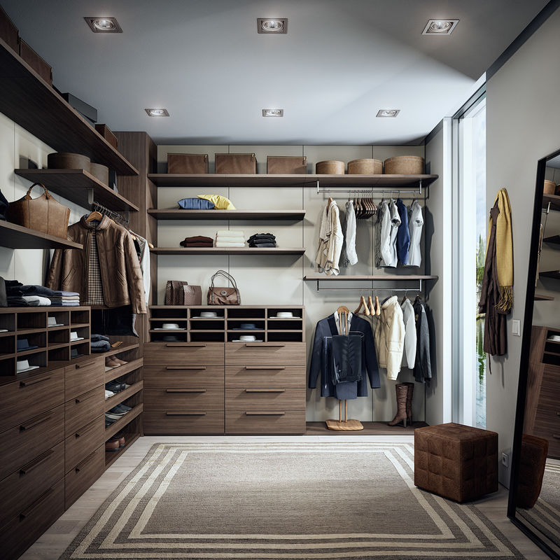Grande promenade en bois dans le placard intégré pour un appartement moderne 2D / 3D et design haut de gamme